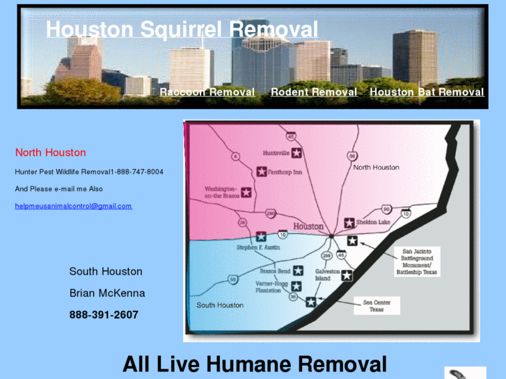 www.houstonsquirrelremoval.com