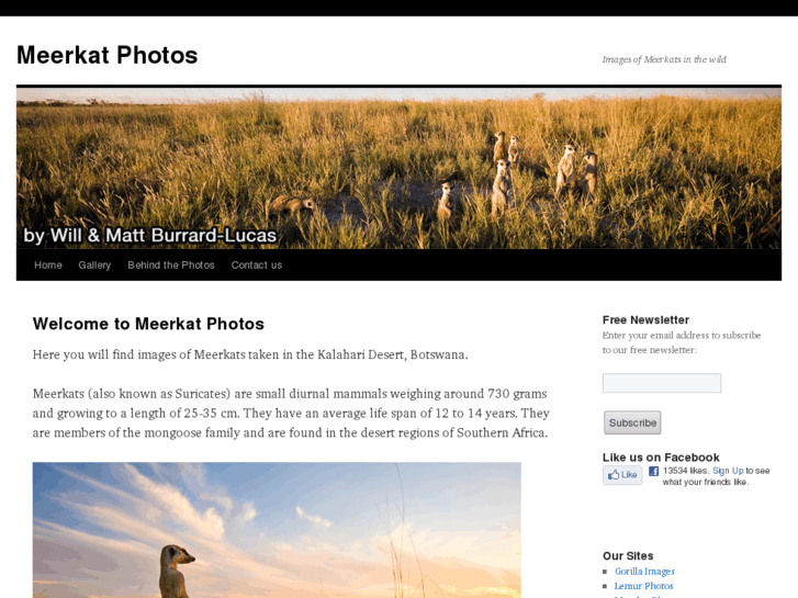 www.meerkatimages.com