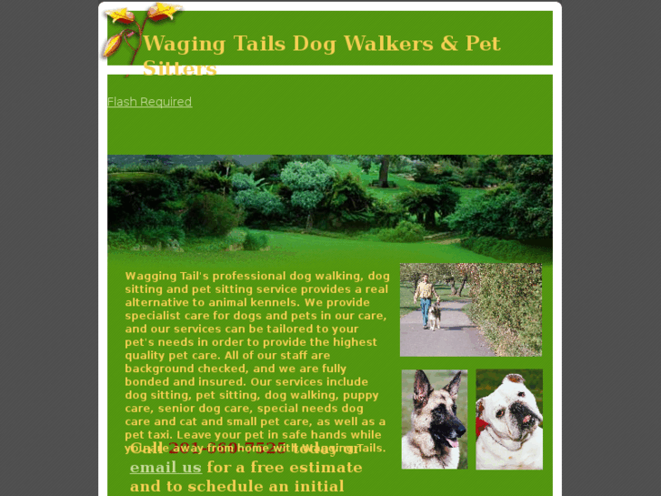 www.waggingtailsdogwalking.com