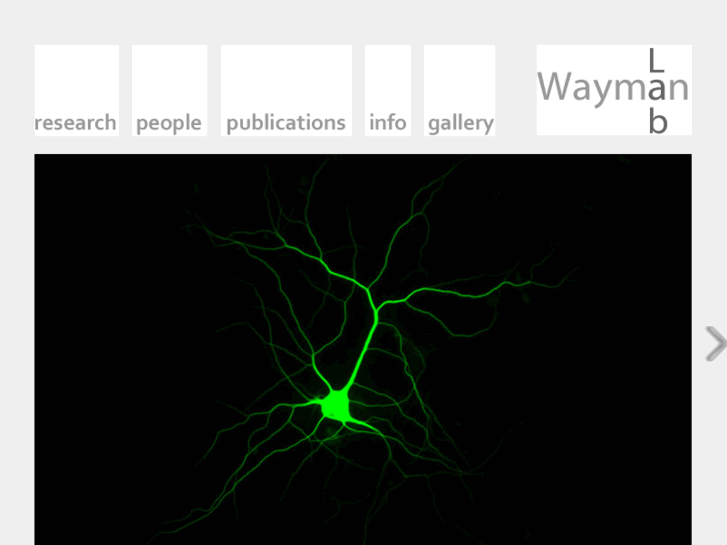 www.waymanlab.org