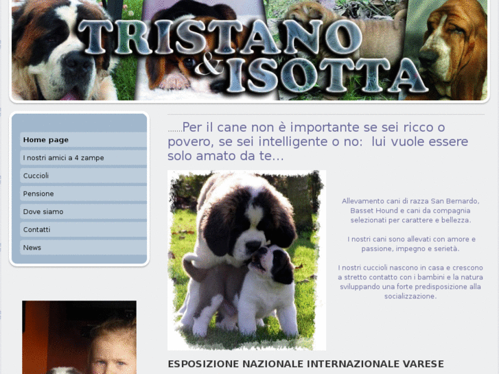 www.allevamrntotristanoeisotta.com