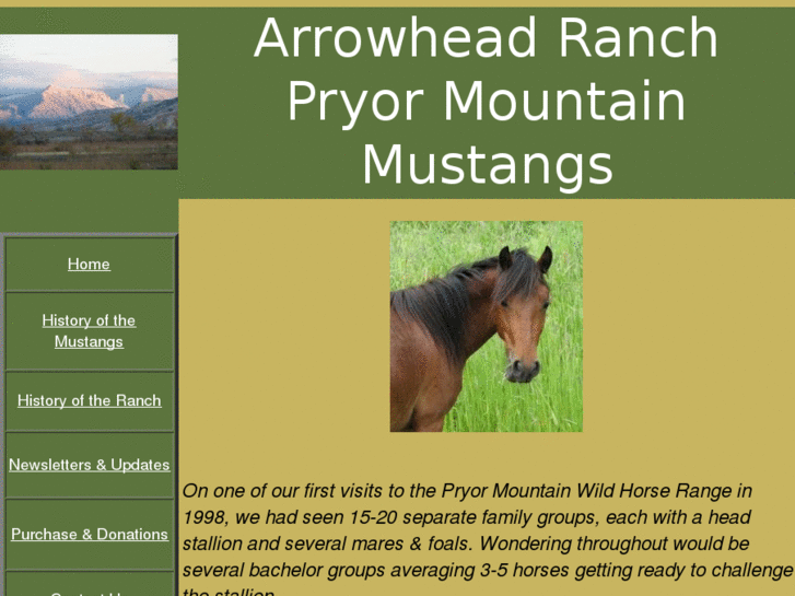 www.arrowheadmustangs.com