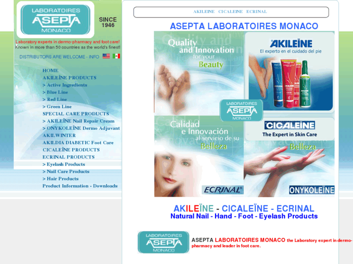 www.aseptausa.com