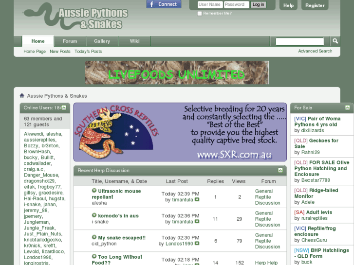 www.aussiepythons.com