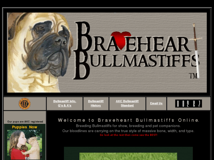 www.braveheartbullmastiffs.net