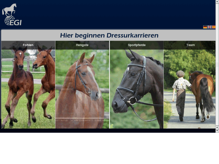 www.egi-sporthorses.com