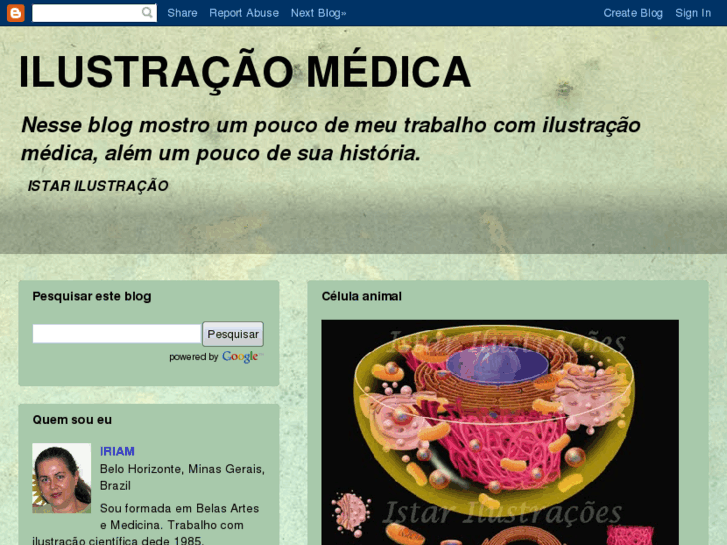 www.istarilustracao.com