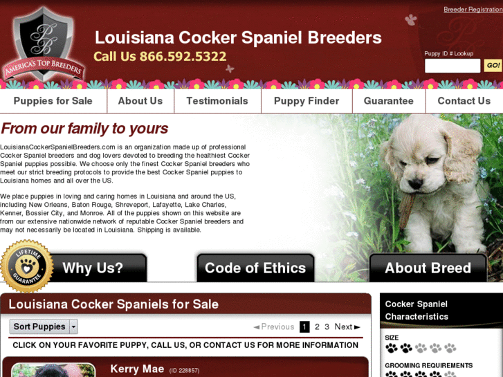 www.louisianacockerspanielbreeders.com