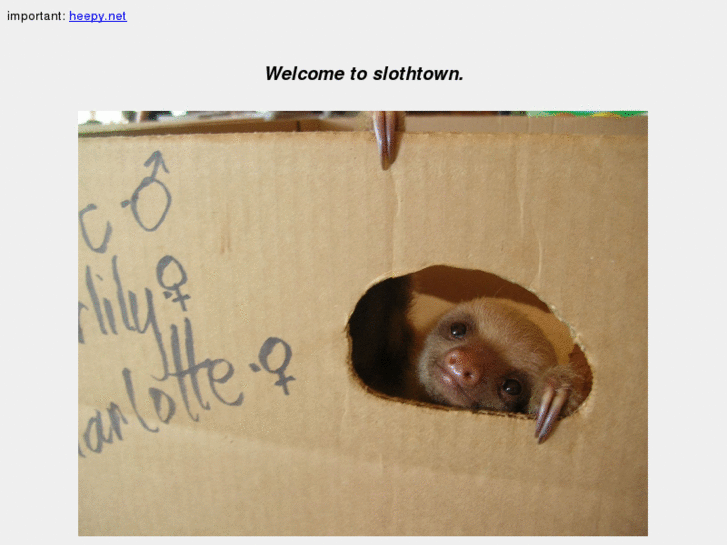 www.slothtown.com