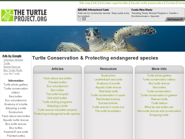 www.theturtleproject.org