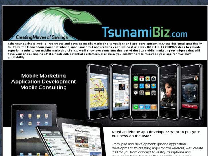 www.tsunamibiz.com