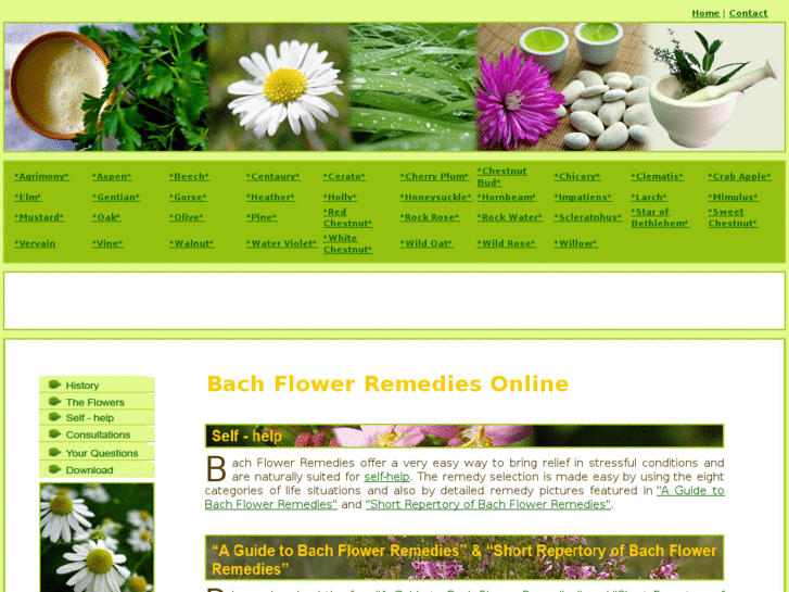 www.bachfloweronline.com