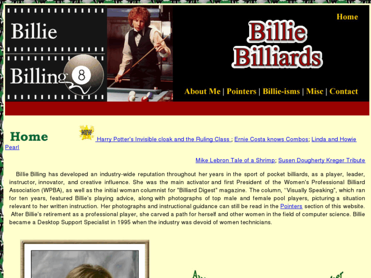 www.billiebilliards.com