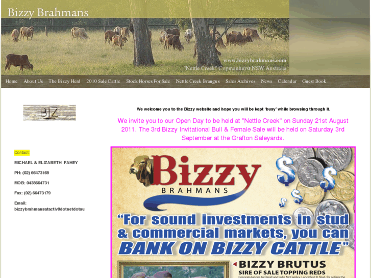 www.bizzybrahmans.com