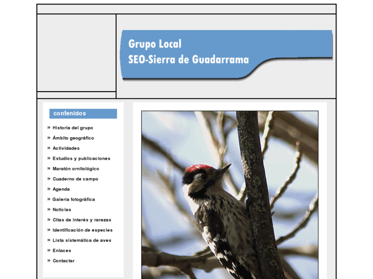 www.seosierradeguadarrama.org