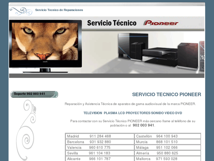 www.servicio-tecnicopioneer.es