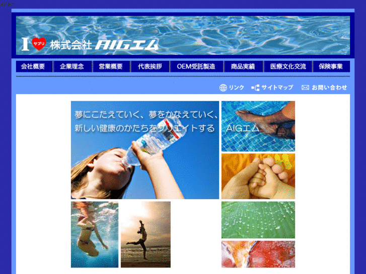 www.aig-m.co.jp