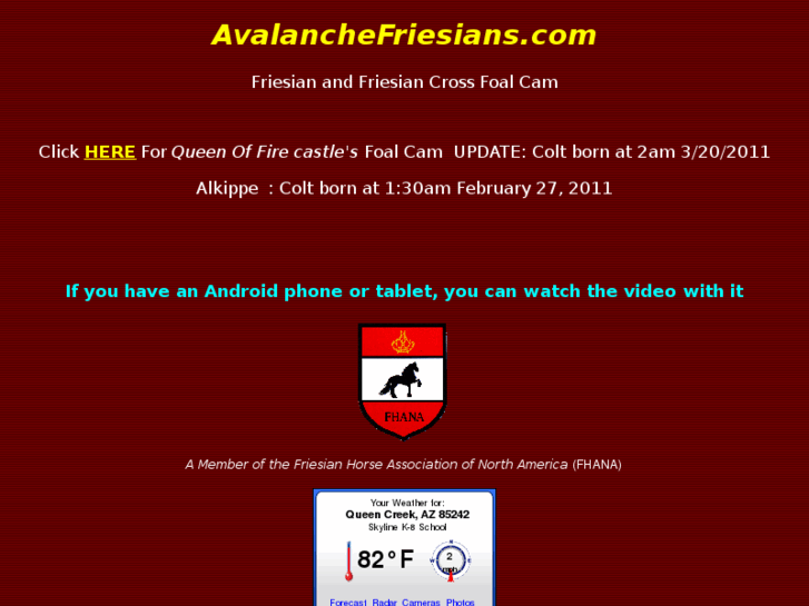 www.avalanchfriesians.com