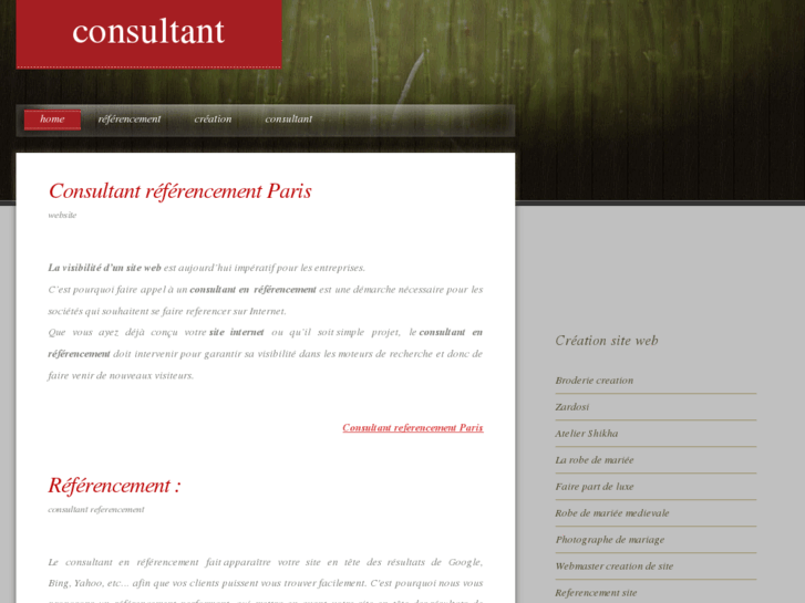 www.consultant-referencement.org