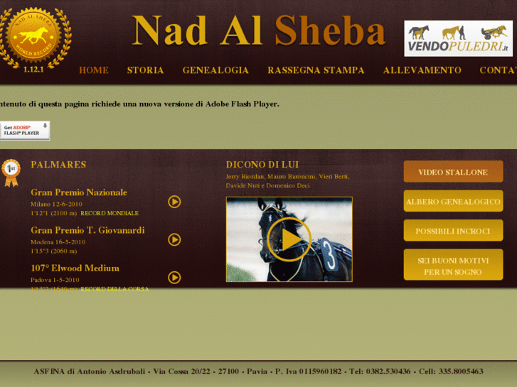 www.nadalsheba.it