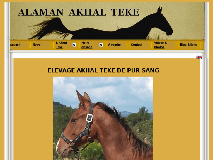 www.alamanstud.com