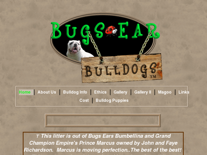 www.bugsearbulldogs.com