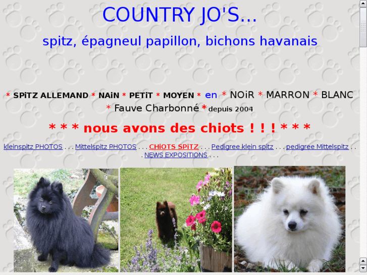 www.countryjo.com