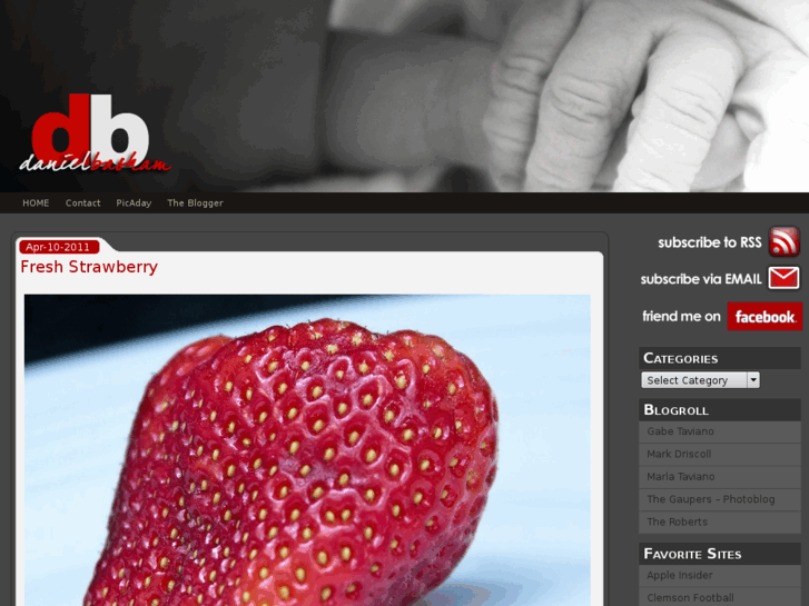 www.danielbasham.com
