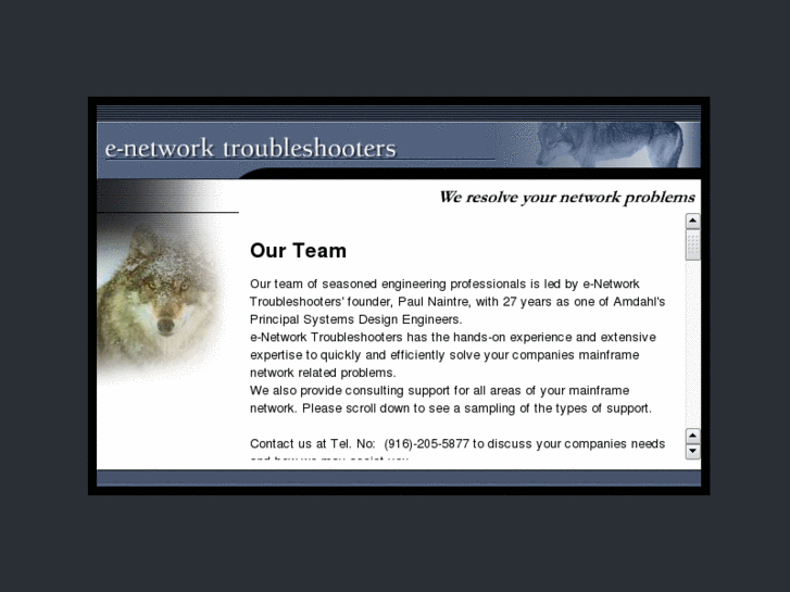 www.e-networktroubleshooters.com