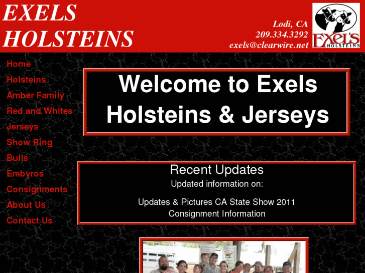 www.exelsholsteins.com