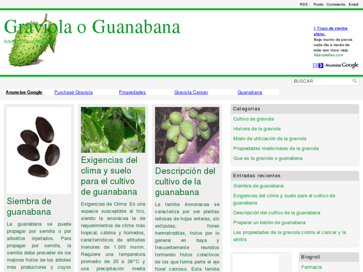 www.graviola.es