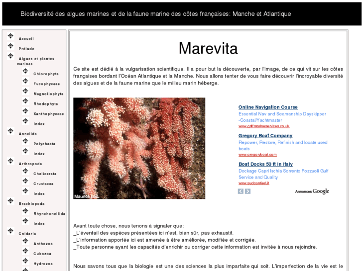 www.marevita.org