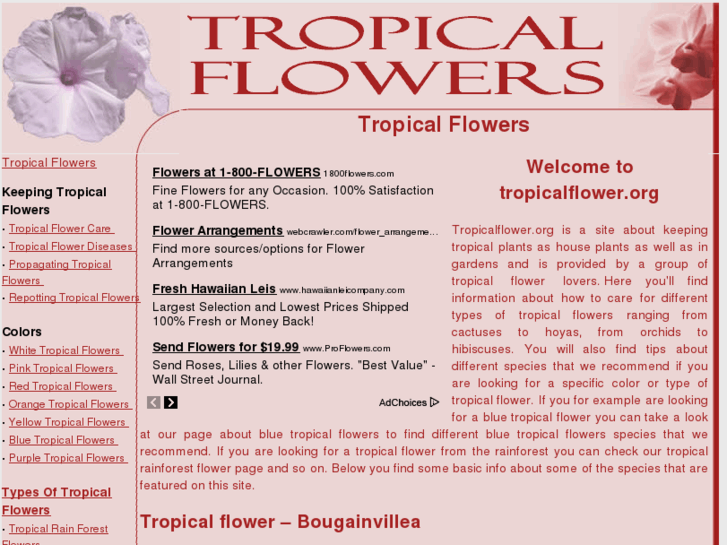 www.tropicalflower.org