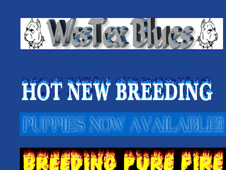 www.westexblues.org