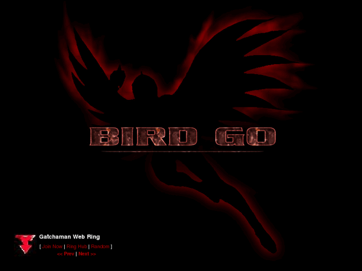 www.birdgo.com