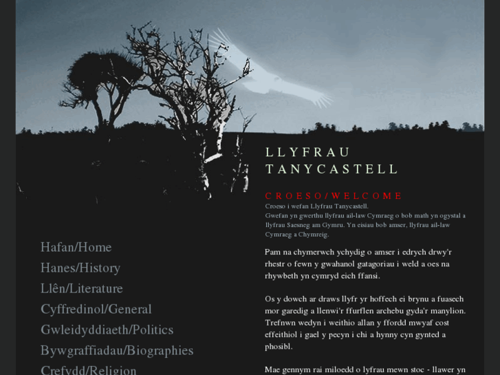 www.llyfrautanycastell.com