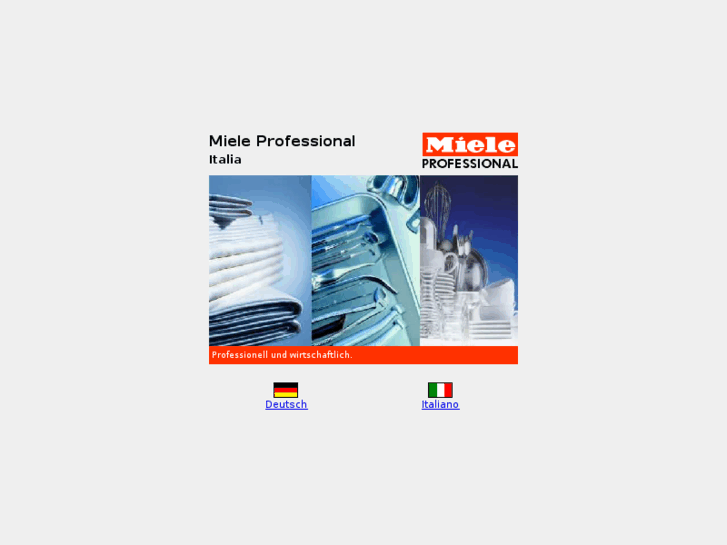 www.mieleprofessional.it