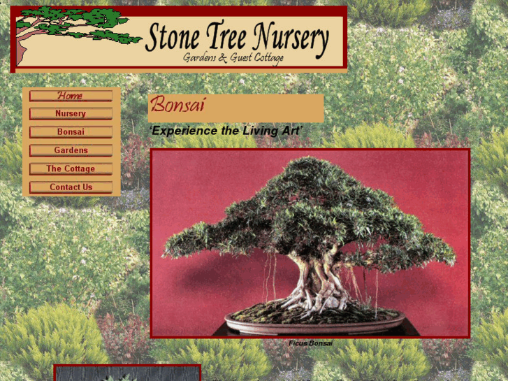 www.stonetreenursery.com