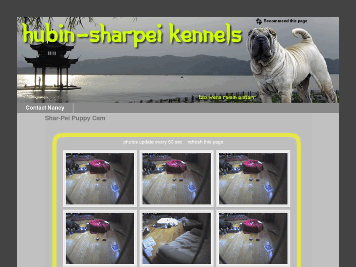 www.hubin-sharpei.com