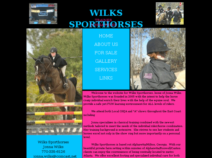 www.wilkssporthorses.com