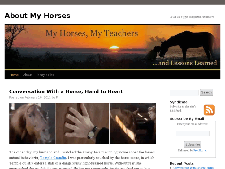 www.aboutmyhorses.com