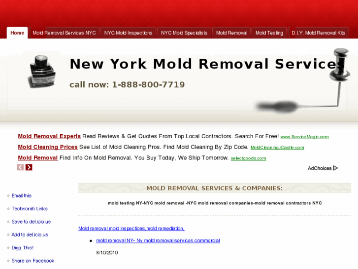 www.moldremovalservicesnyc.com