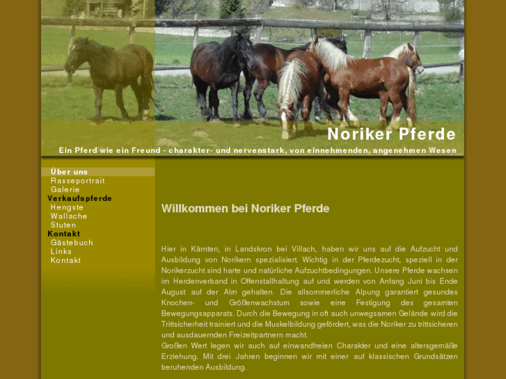 www.noriker-pferde.com