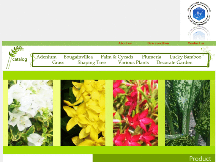 www.nursery-plant.com