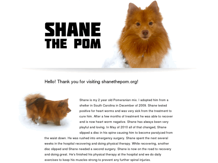 www.shanethepom.org