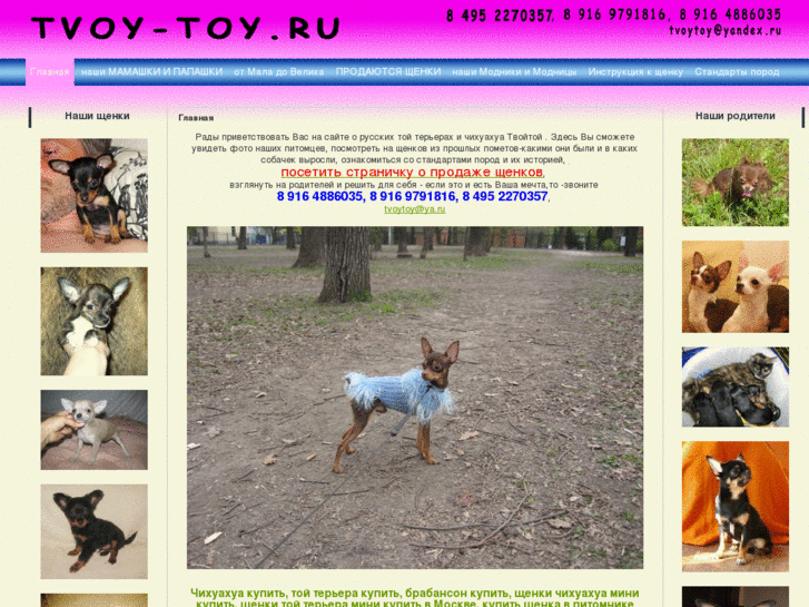 www.tvoy-toy.ru