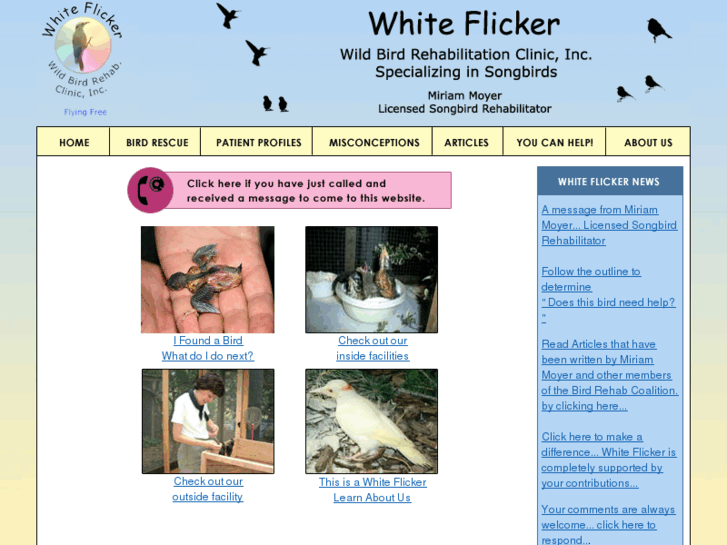 www.whiteflicker.org