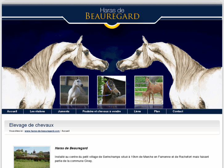 www.haras-de-beauregard.com