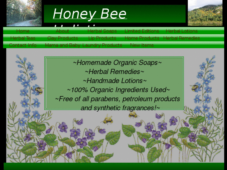 www.honeybeeholistics.com