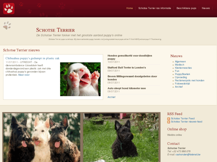 www.schotse-terrier-online.nl